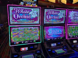 Login berhasil dan pengguna menikmati akses cepat ke berbagai macam permainan sports dan casino